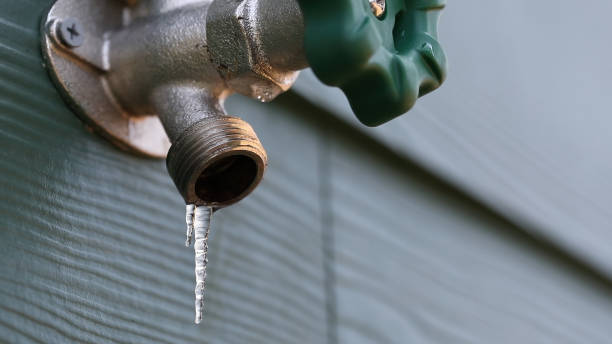 Best Plumbing Services Near Me  in San Martin, CA